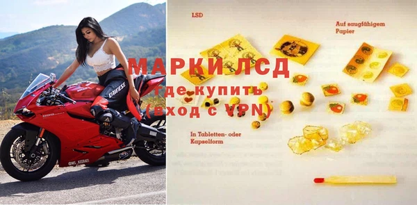 сатива Михайловка