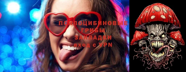 mdma Медвежьегорск